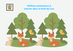 Chiffres enchanteurs à colorier dans la forêt de Lino